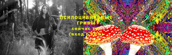 герыч Верея