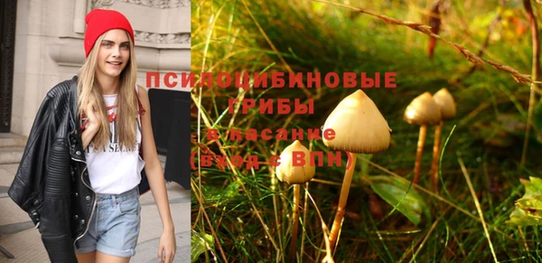 герыч Верея
