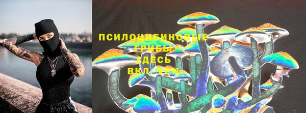 mdpv Верхний Тагил