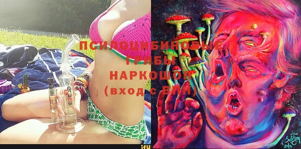 mdpv Верхний Тагил
